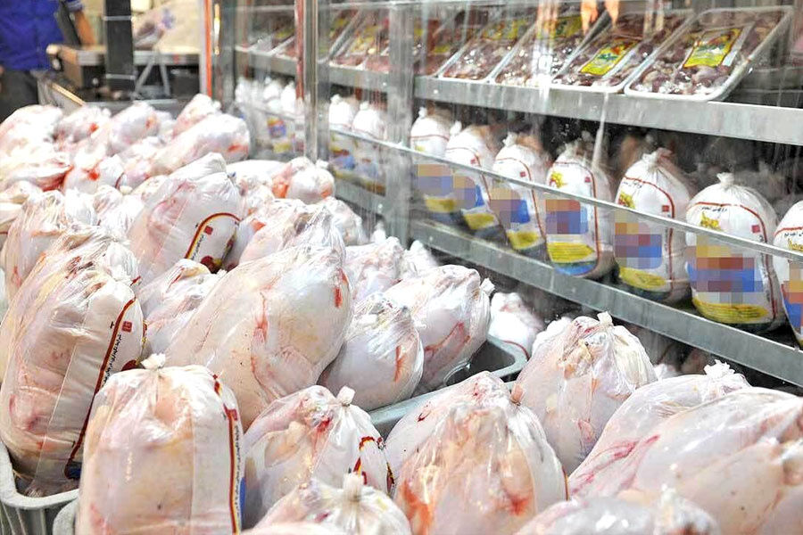 خرید مرغ مازاد بر مصرف در مازندران آغاز شد