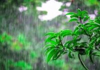 کاهش دما و احتمال رگبار در مازندران از فردا