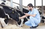 تزریق بیش از ۱.۷ میلیون دُز واکسن در مازندران