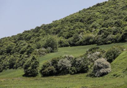 دوربینهای هوشمند پایش در اراضی ملی نصب میشود دوربینهای هوشمند پایش در اراضی ملی نصب میشود