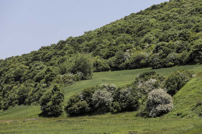 دوربین‌های هوشمند پایش در اراضی ملی نصب می‌شود