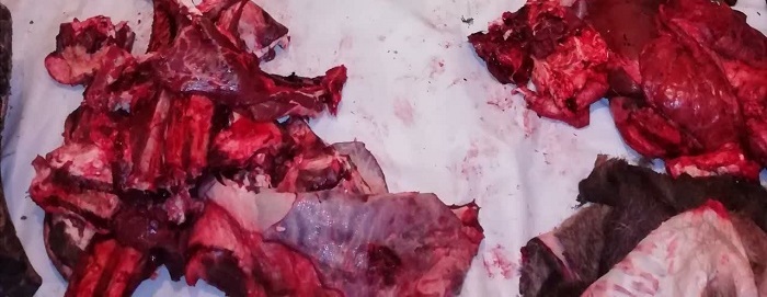 کشف لاشه مرال در کیاسر