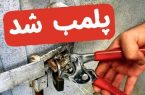 پلمب ۵ واحد متخلف چوب‌بری و دپو چوب در آمل