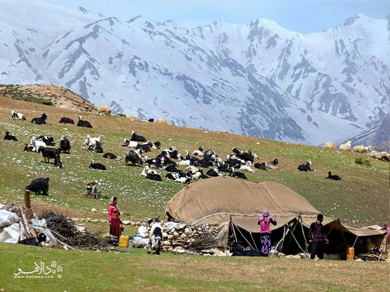 عارف: دولت هیچ تصمیمی بر خلاف منافع عشایر نمی‌گیرد