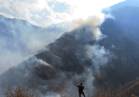 یک هکتار از جنگل‌های الیت همچنان گرفتار آتش