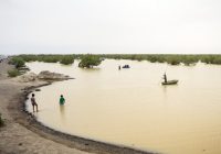 لزوم تدوین قانون حفاظت از محیط‌زیست دریا / تأمین حقابه تالاب‌ هامون در چارچوب دیپلماسی فعال