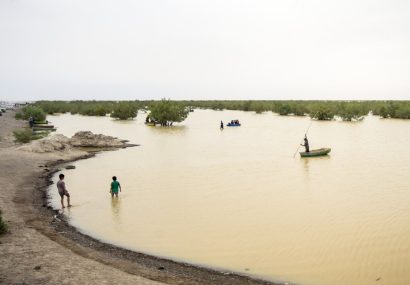 لزوم تدوین قانون حفاظت از محیطزیست دریا / تأمین حقابه تالاب هامون در چارچوب دیپلماسی فعال
