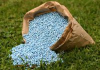 کشف کود تقلبی ۲۰۰ میلیاردی در تنکابن کشف کود تقلبی ۲۰۰ میلیاردی در تنکابن