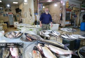 بازار ماهی فروشان بندر انزلی