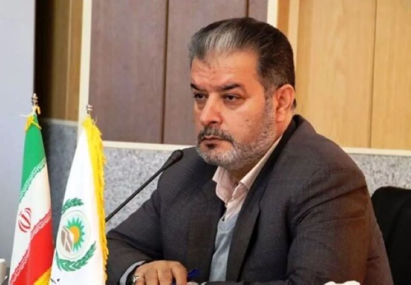 هنر قصهگویی در جامعه نیازمند احیاست