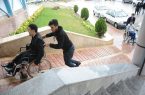 مسئولان ضرورتی برای اجرای قانون مناسب‌سازی احساس نمی‌کنند