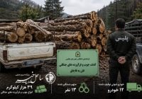 کشف ۳۹ تن چوب و فرآوردههای جنگلی قاچاق در چالوس