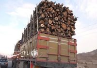کشف ۳۰ تن چوب قاچاق در آمل