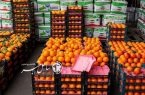 فعالیت ۱۸ واحد بسته‌بندی مرکبات در جویبار